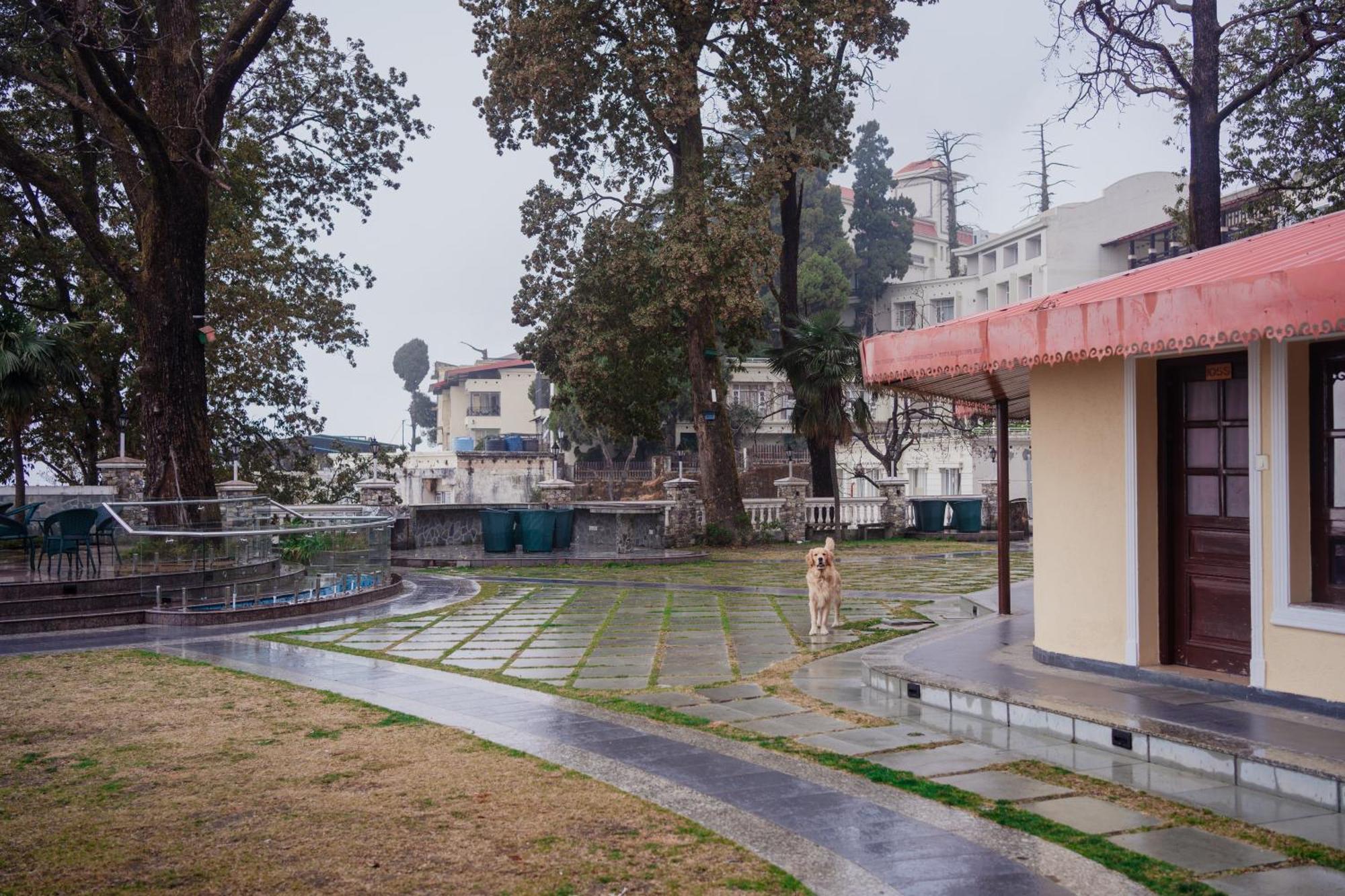 Bliss & Company By Hnh Hotell Mussoorie Exteriör bild